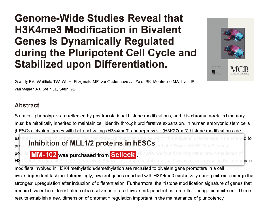 组蛋白甲基转移酶 | Histone Methyltransferase