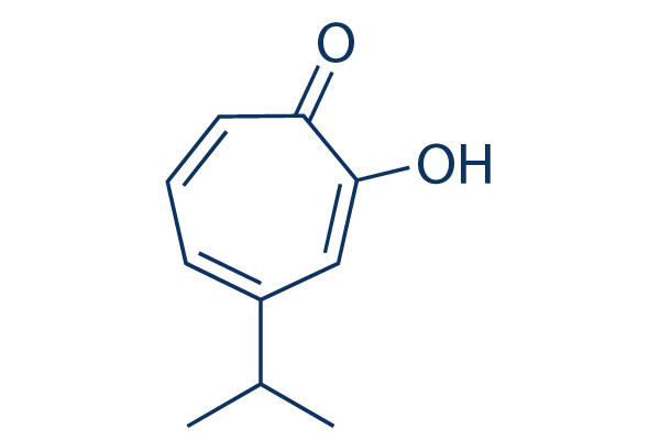β-thujaplicin Chemical Structure