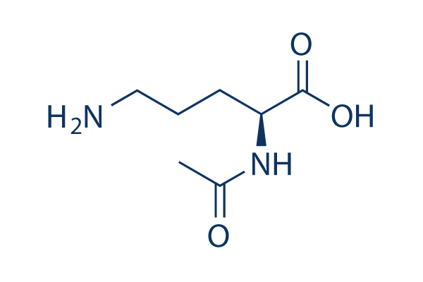 N-Acetylornithine Chemical Structure