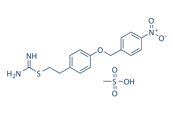 KB-R7943 mesylate Chemical Structure