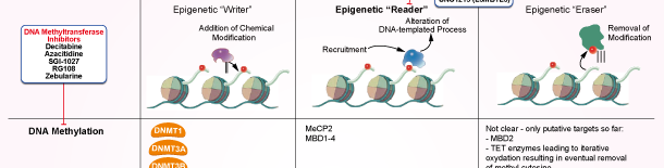 Epigenetic Reader Domain信号通路图