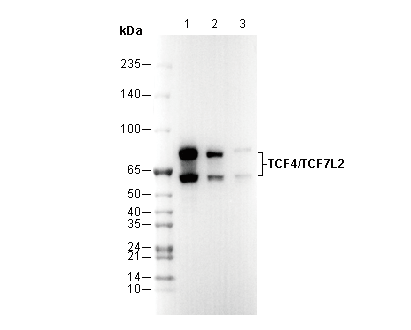 F0265-wb