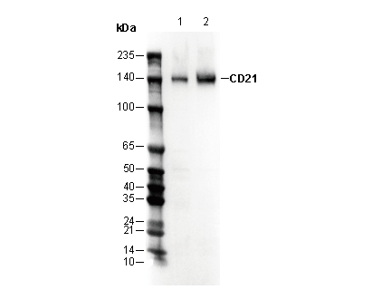 F2098-wb