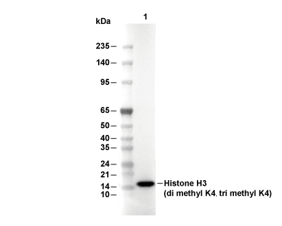 F2241-wb.gif