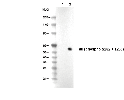 F2827-wb.gif