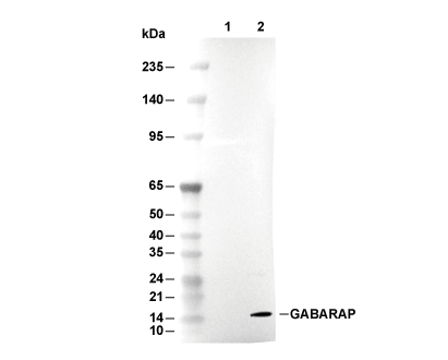 F3963-wb.gif