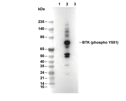 F3973-wb.gif