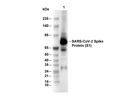 F4160-wb.gif