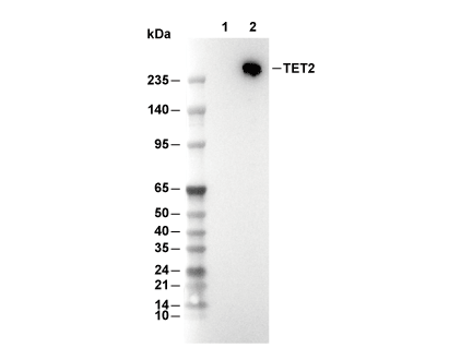 F4759-wb.gif