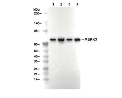 F5043-wb.gif