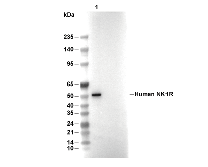 F5526-wb.gif