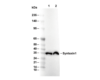 F5976-wb.gif