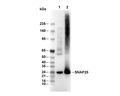 F7835-wb.gif