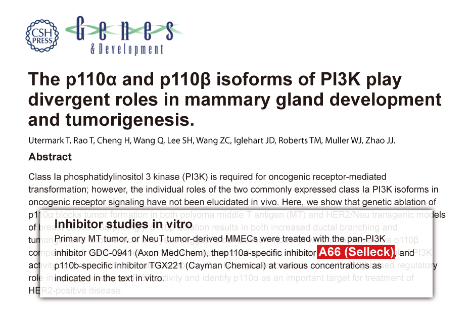 PI3K抑制剂 | PI3K Inhibitor