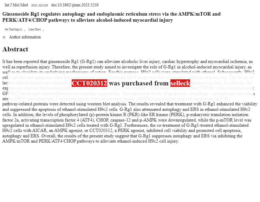 PERK Rabbit MAb Perk rabbit mab