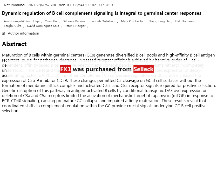 Bcl-6 抑制剂 | Bcl-6 Inhibitor Review