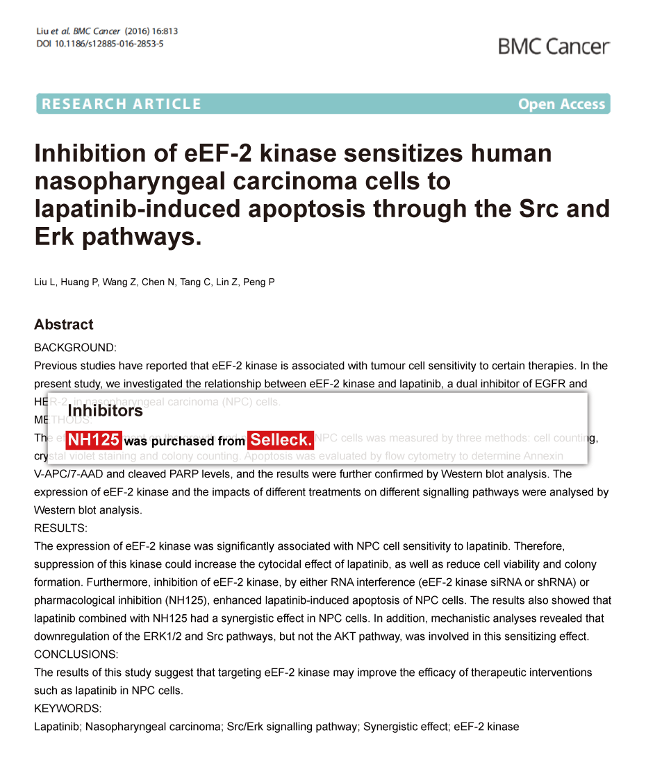 CaMK抑制剂 CaMK Inhibitor