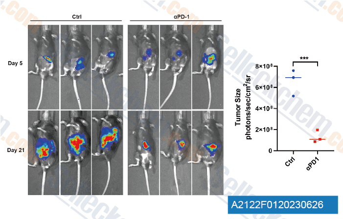 Anti-mouse PD-1 (CD279)-InVivo Datasheet