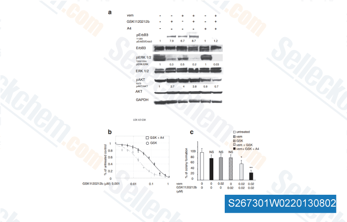 Trametinib (GSK1120212) | MEK 抑制剂 | 现货供应 | 美国品牌 | 免费采购电话400-668-6834