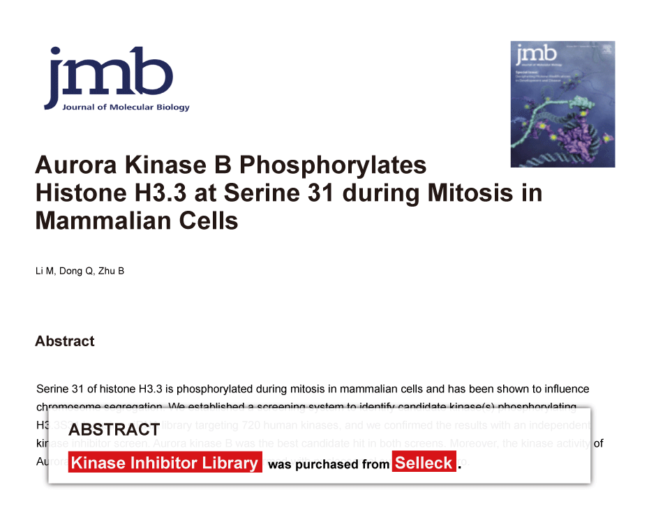 Inhibitor Library 激酶抑制剂分子库 | 96/384孔板 | 分子库/高通量筛选
