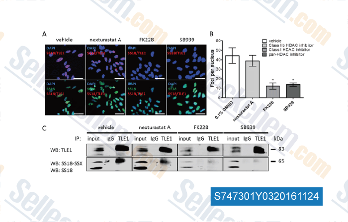 Hdac抑制剂 Hdac Inhibitor