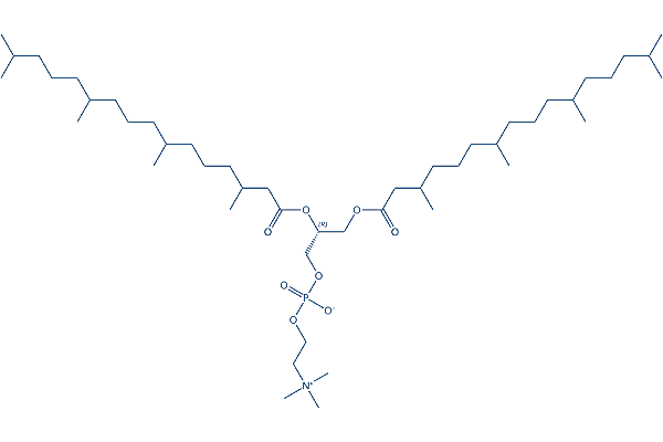 DPhPC Chemical Structure