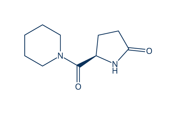 Fasoracetam (NS 105) Chemical Structure