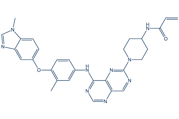 Zongertinib Chemical Structure