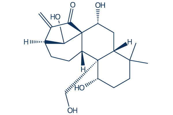 kamebakaurin Chemical Structure