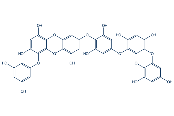 Dieckol Chemical Structure