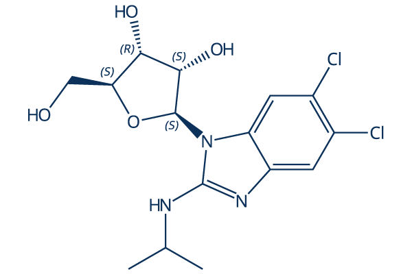Maribavir（1263W94， BW1263W94，GW257406X，GW 1263） Chemical Structure
