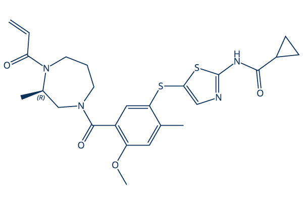 Soquelitinib Chemical Structure