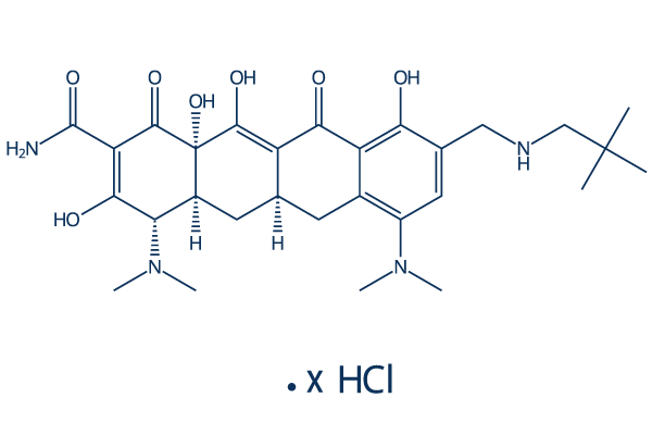 Omadacycline hydrochloride Chemical Structure