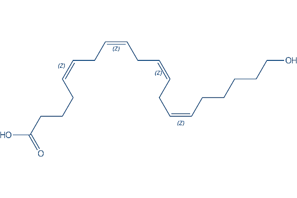 20-HETE Chemical Structure