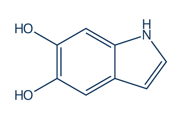 5,6-Dihydroxyindole Chemical Structure