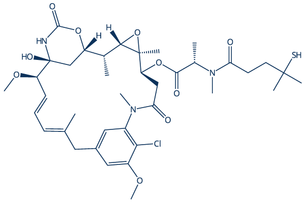 DM4 Chemical Structure