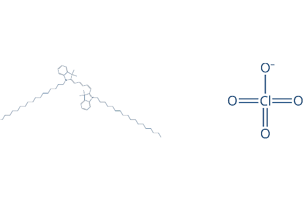 DiD perchlorate Chemical Structure