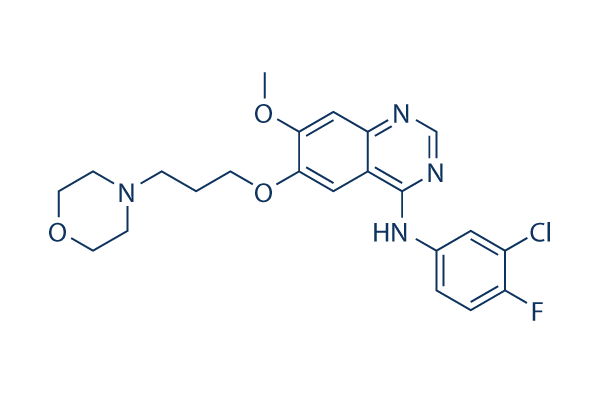 Gefitinib (ZD1839) Chemical Structure