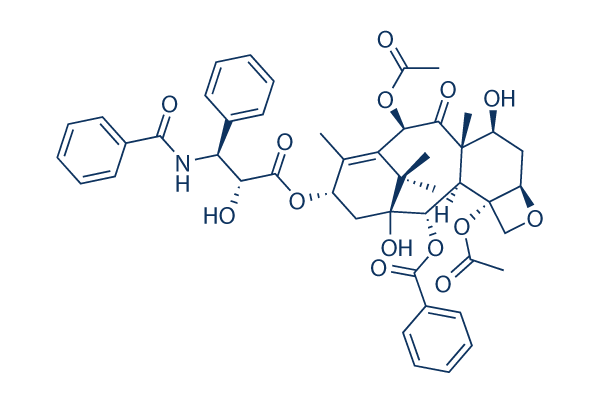 Paclitaxel (NSC 125973) Chemical Structure