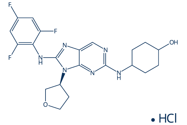 Tanzisertib HCl(CC-930) Chemical Structure