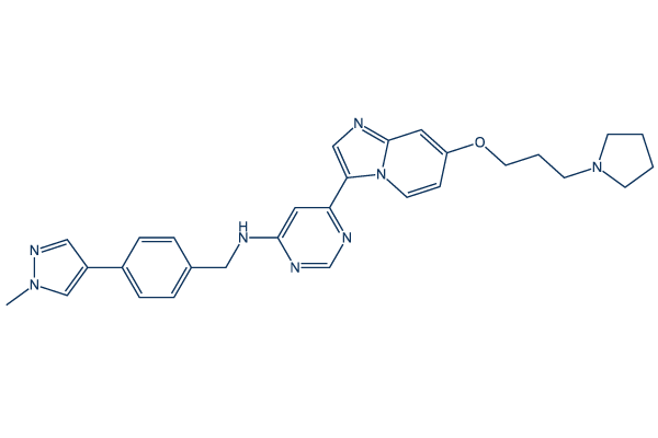 M4205（IDRX-42） Chemical Structure