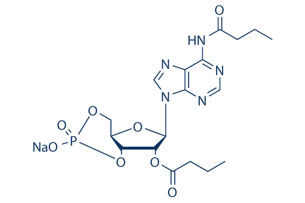Dibutyryl-cAMP (Bucladesine) Chemical Structure