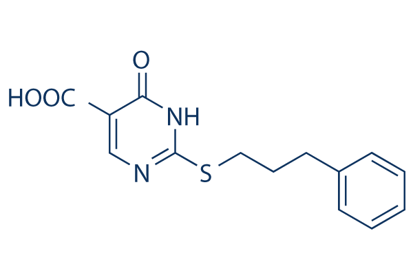 MINA53 inhibitor (Compound 10) Chemical Structure
