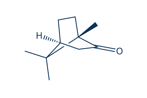 (-)-CAMPHOR Chemical Structure