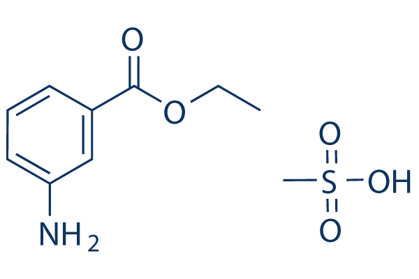 Ethyl 3-Aminobenzoate methanesulfonate Chemical Structure