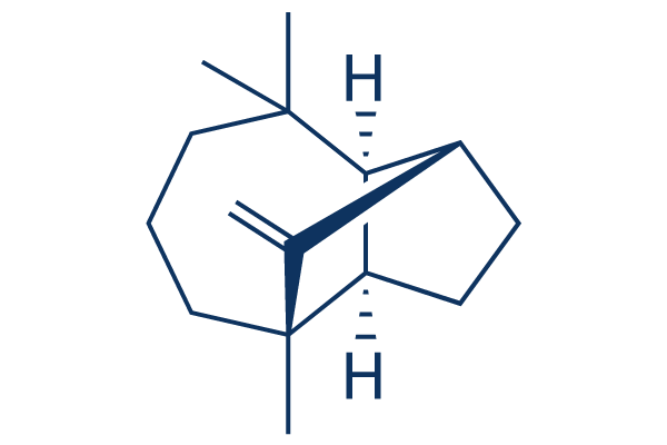 (+)-Longifolene Chemical Structure