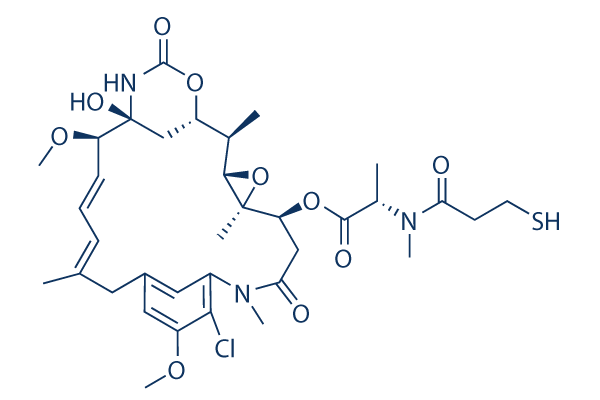 DM1 (Mertansine) Chemical Structure