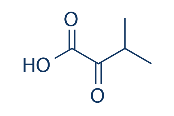 3 methyl 2 oxobutanoic acid 