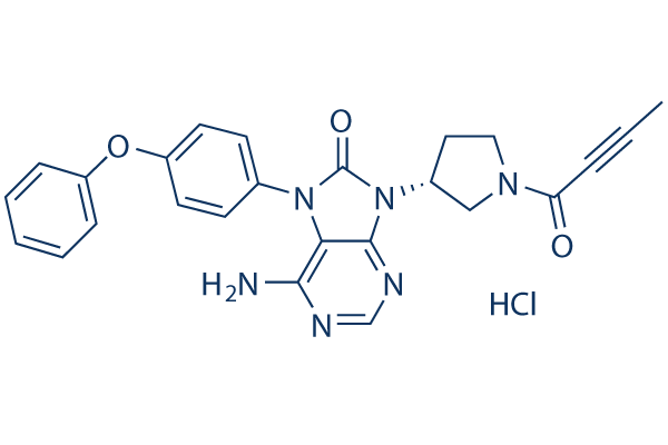 tirabrutinib(ONO-4059) hydrochloride Chemical Structure
