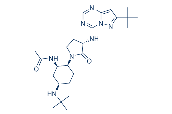 BMS-813160 Chemical Structure